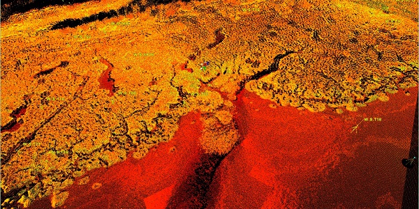 Figure 2: This shows part of the 3D map that is made from all the laser scans. It provides very detailed and clear data on topography of the salt marsh and clearly illustrates the structure of the font of the marsh as it changes to mudflat (the mainly red area in the foreground). 