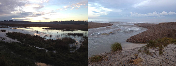 Flooded backbarrier wetlands: (left) and breach in gravel barrier (right) at Dingle Marshes, between Walberswick and Dunwich, Suffolk coast, following the storm surge (Photographs: T. Pryke 17.12.2013)