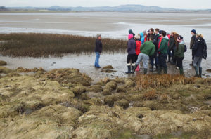 Dr Clare Maynard standing with restored saltmarsh in the background and natural salt marsh in the foreground